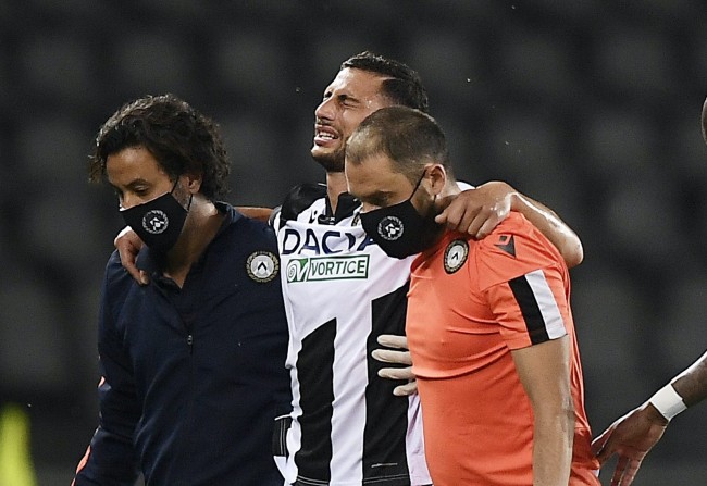 在高水平的 在高水平的