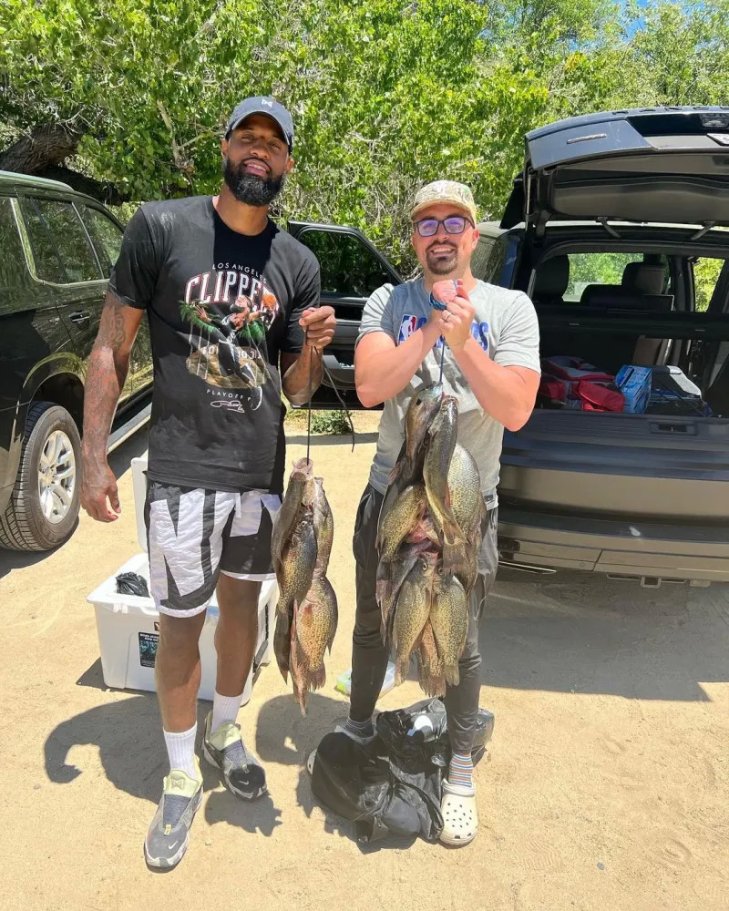 的案例不少 的案例不少